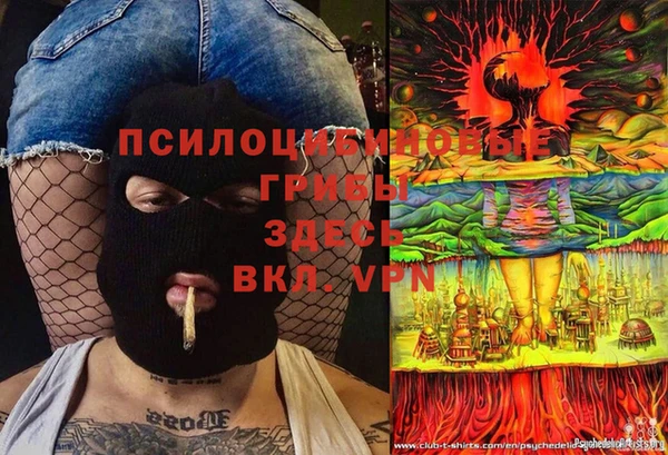 а пвп мука Корсаков