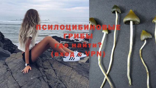 дурь Лабытнанги