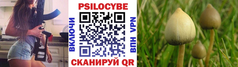 Галлюциногенные грибы GOLDEN TEACHER  Мончегорск 