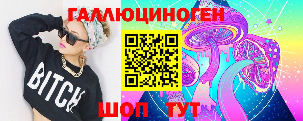 Галлюциногенные грибы Psilocybine cubensis Мончегорск